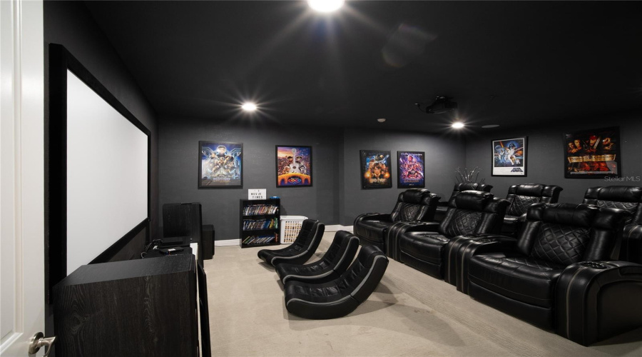 Custom Theater Room