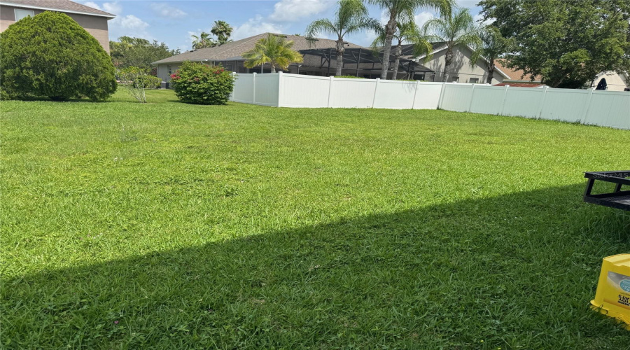 Back Yard