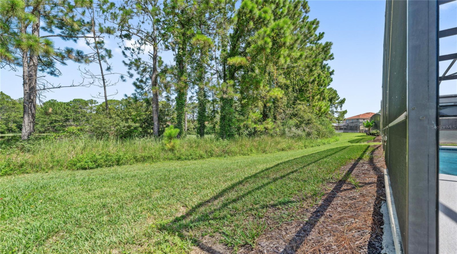 DAVENPORT, Florida 33837, 5 Bedrooms Bedrooms, ,5 BathroomsBathrooms,Residential,For Sale,TIGER LILY,0,MFRS5130724