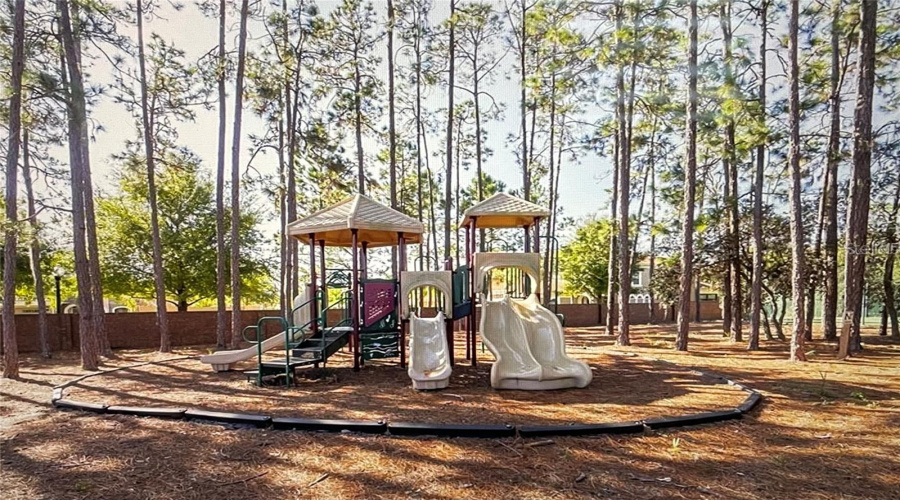ORLANDO, Florida 32836, 4 Bedrooms Bedrooms, ,4 BathroomsBathrooms,Residential,For Sale,GREY HAWK,0,MFRO6324368