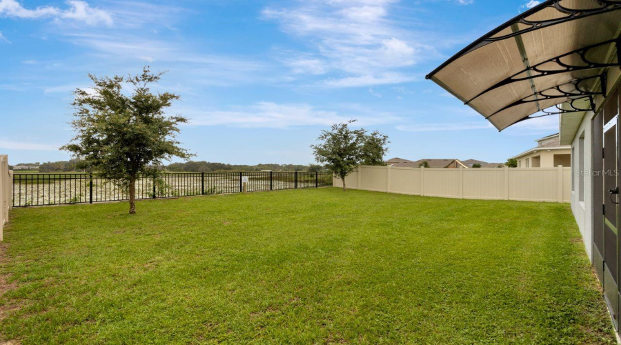 Large Backyard