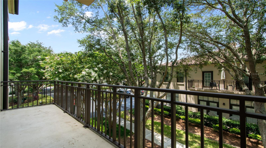 View from the side balcony