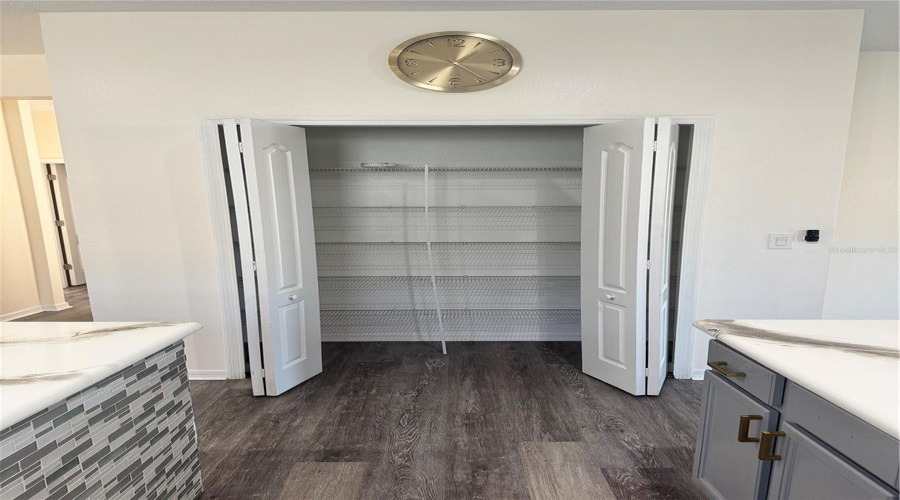 Kitchen Pantry