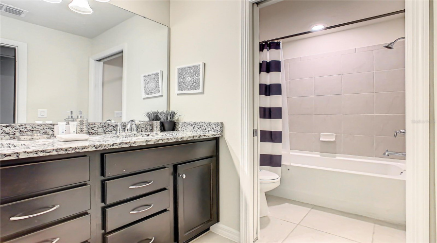 Bath #2--Elegant downstairs bath with modern finishes