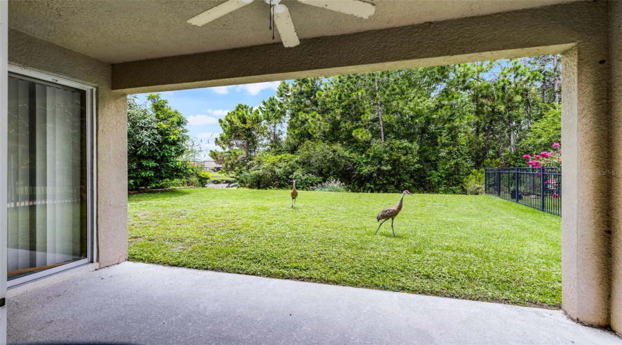DAVENPORT, Florida 33837, 3 Bedrooms Bedrooms, ,2 BathroomsBathrooms,Residential,For Sale,PRESTON,0,MFRS5130880