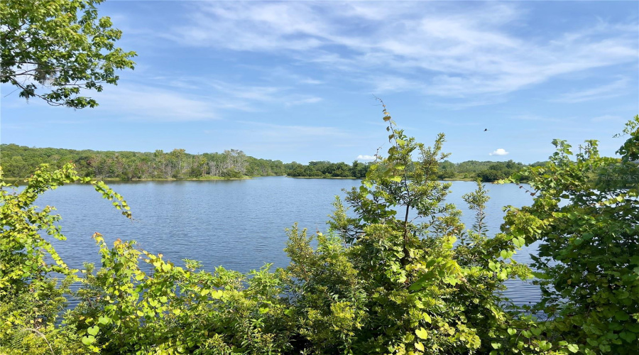 DAVENPORT, Florida 33896, 4 Bedrooms Bedrooms, ,2 BathroomsBathrooms,Residential,For Sale,LAKE SHORE,0,MFRO6326727