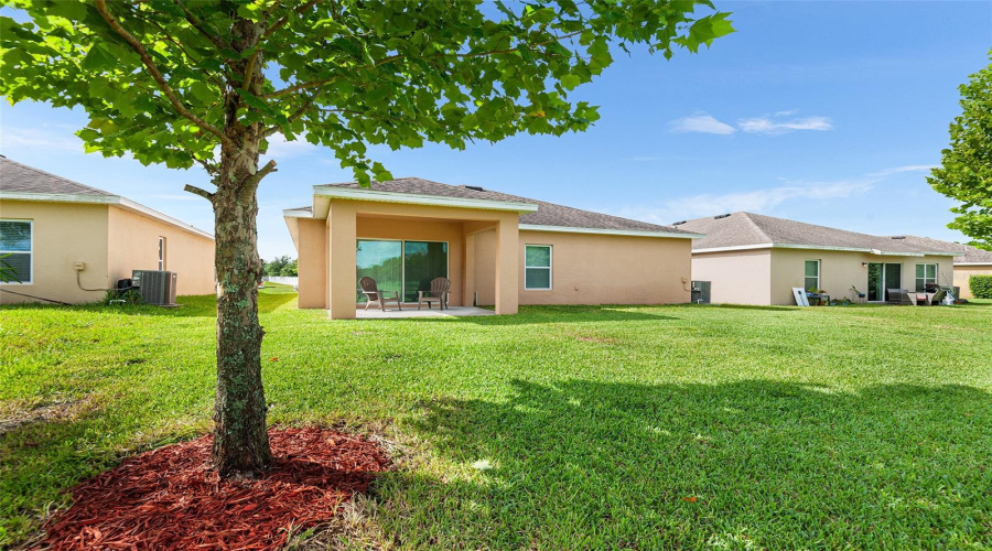 REAR VIEW OF PROPERTY