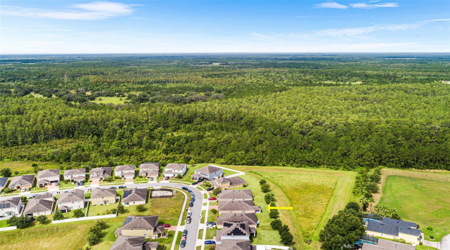 AERIAL VIEW OF HOME AND SURROUNDING PROPERTY. NOTE ALL THE GREEN SPACE! VIEW TOWARDS THE WEST