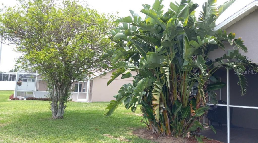 DAVENPORT, Florida 33896, 3 Bedrooms Bedrooms, ,2 BathroomsBathrooms,Residential,For Sale,VIA BIANCA,0,MFRS5131010