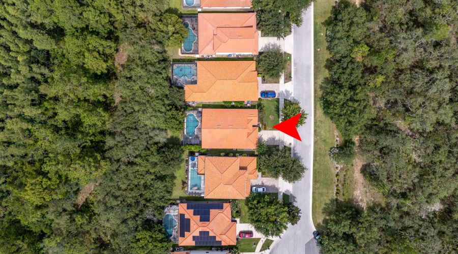 surrounded by conservation (back and front of the home)