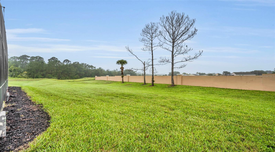DAVENPORT, Florida 33897, 5 Bedrooms Bedrooms, ,4 BathroomsBathrooms,Residential,For Sale,TUPELO,0,MFRO6232513