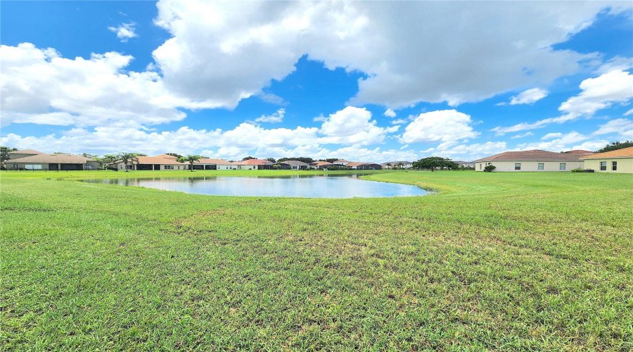 Backyard Lakeview