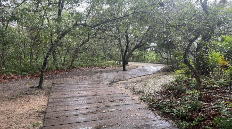 Beginning of Nature Walk