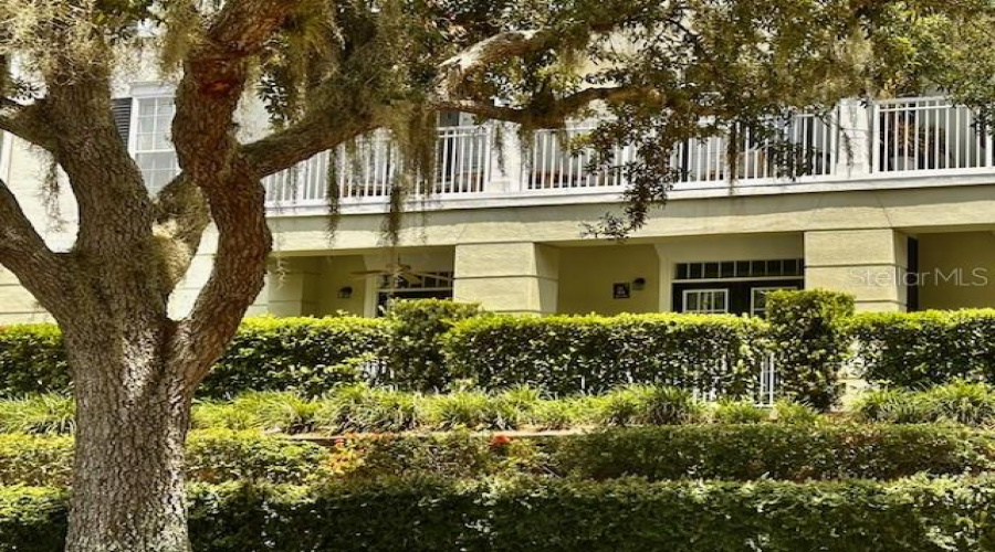 CELEBRATION, Florida 34747, 3 Bedrooms Bedrooms, ,2 BathroomsBathrooms,Residential,For Sale,LONGVIEW,0,MFRS5131184