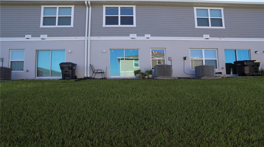 back yard