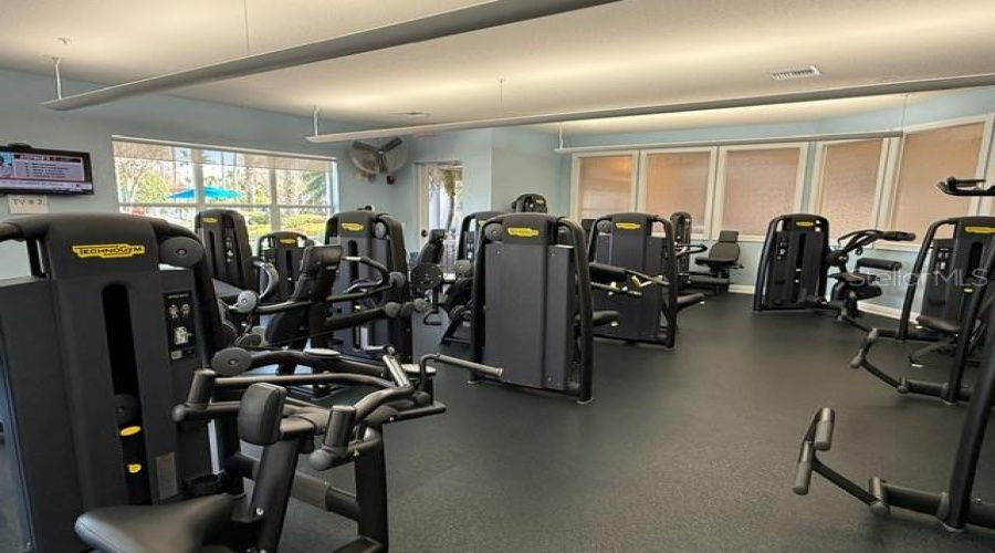 GYM