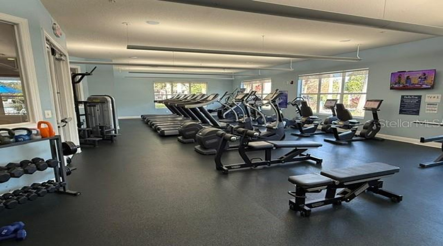 GYM