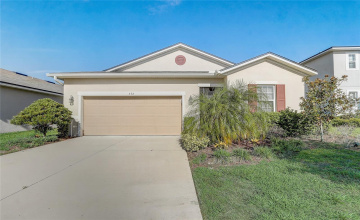 Property Search