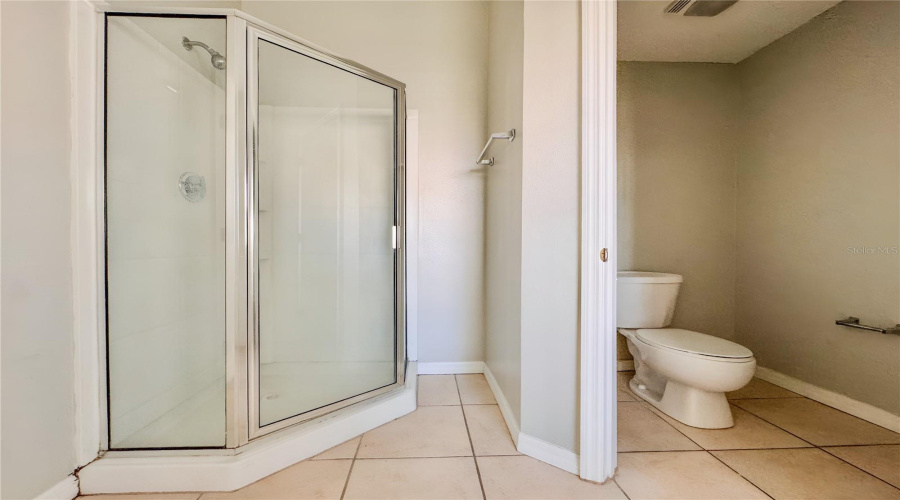 Primary Bath Walk-in Shower