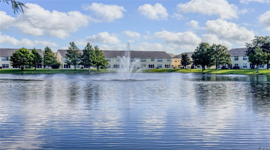 Community Pond
