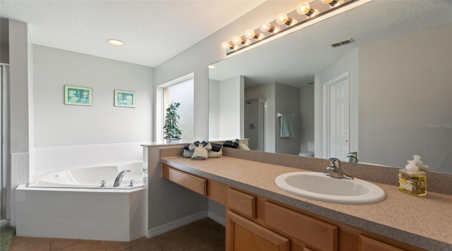 DAVENPORT, Florida 33897, 5 Bedrooms Bedrooms, ,4 BathroomsBathrooms,Residential,For Sale,SOLANA,0,MFRO6328136