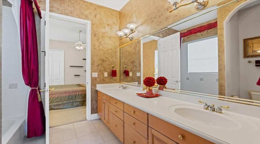 Downstairs Jack & Jill Bathroom