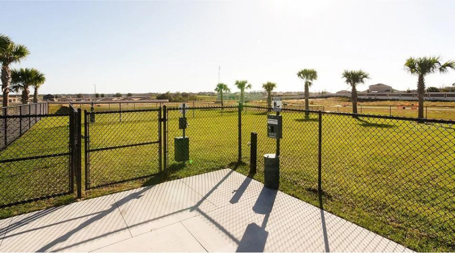 Dog Park
