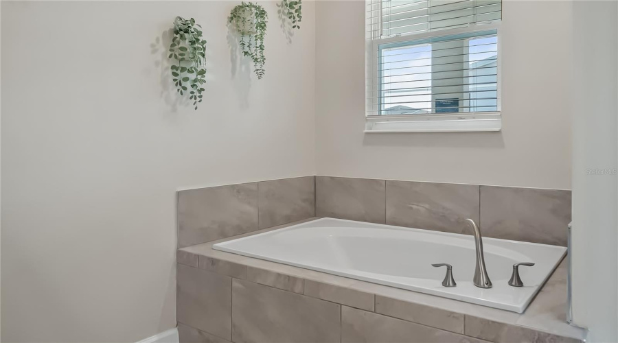 First Floor Primary Bathroom Tub