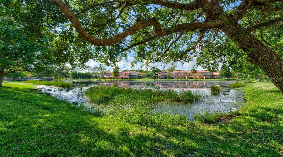 KISSIMMEE, Florida 34746, 3 Bedrooms Bedrooms, ,2 BathroomsBathrooms,Residential,For Sale,FLAGLER BEACH,0,MFRO6332223