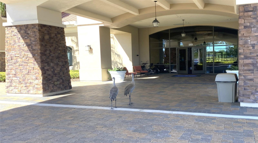 DAVENPORT, Florida 33837, 2 Bedrooms Bedrooms, ,2 BathroomsBathrooms,Residential,For Sale,CORDOBA,0,MFRS5131374