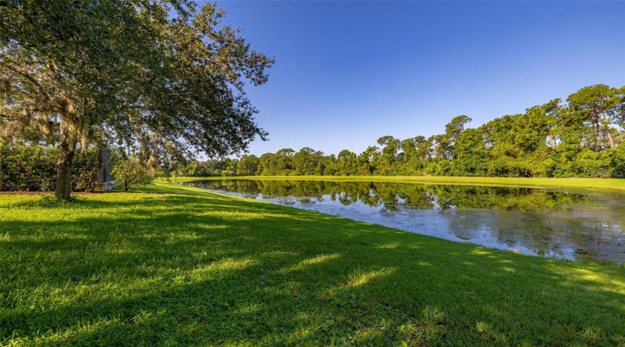 ORLANDO, Florida 32836, 4 Bedrooms Bedrooms, ,2 BathroomsBathrooms,Residential,For Sale,EDENSHIRE,0,MFRO6332125
