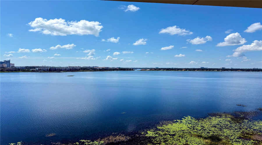 ORLANDO, Florida 32836, 3 Bedrooms Bedrooms, ,3 BathroomsBathrooms,Residential,For Sale,THE ESPLANADE,0,MFRO6331868
