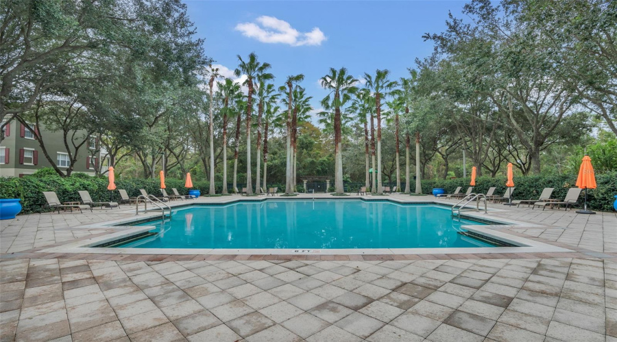 Siena Pool
