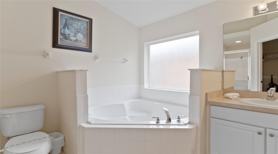 DAVENPORT, Florida 33837, 3 Bedrooms Bedrooms, ,2 BathroomsBathrooms,Residential,For Sale,ORANGE COSMOS,0,MFRO6332718