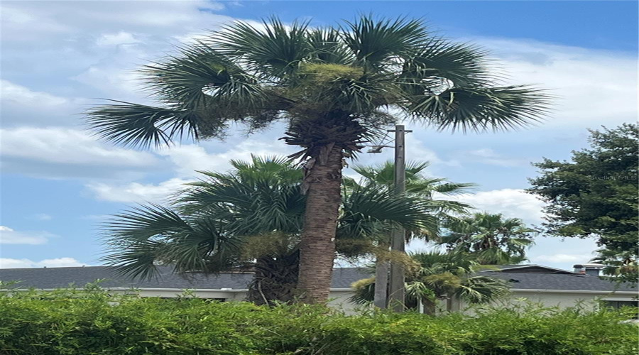 KISSIMMEE, Florida 34746, 3 Bedrooms Bedrooms, ,3 BathroomsBathrooms,Residential,For Sale,PARADISE CAY CIRCLE,0,MFRO6287562