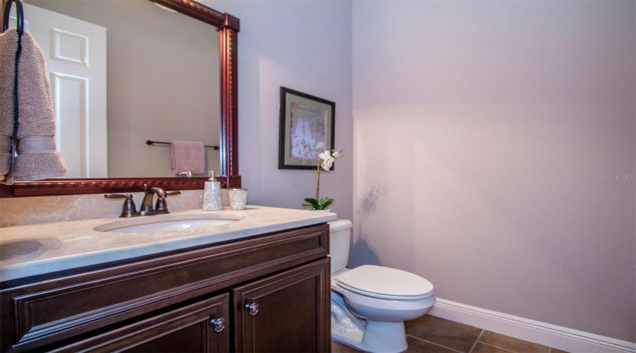 ORLANDO, Florida 32836, 4 Bedrooms Bedrooms, ,3 BathroomsBathrooms,Residential,For Sale,POINTE VENEZIA,0,MFRO6300885