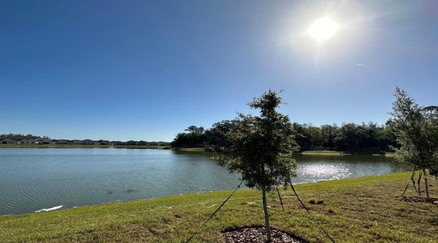 KISSIMMEE, Florida 34746, 5 Bedrooms Bedrooms, ,3 BathroomsBathrooms,Residential,For Sale,ROYAL POINT,0,MFRO6333950