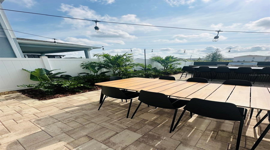 Backyard 3