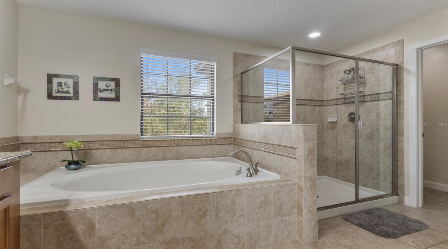 DAVENPORT, Florida 33896, 5 Bedrooms Bedrooms, ,4 BathroomsBathrooms,Residential,For Sale,MOON VALLEY,0,MFRO6278699