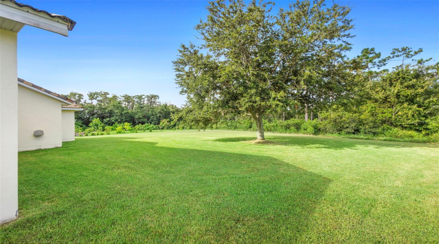 KISSIMMEE, Florida 34746, 4 Bedrooms Bedrooms, ,2 BathroomsBathrooms,Residential,For Sale,WINDING,0,MFRS5132502