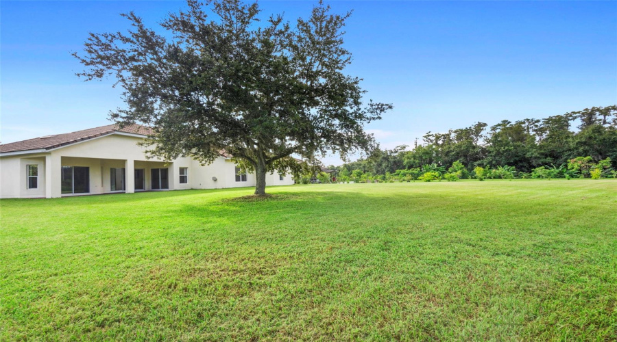 KISSIMMEE, Florida 34746, 4 Bedrooms Bedrooms, ,2 BathroomsBathrooms,Residential,For Sale,WINDING,0,MFRS5132502