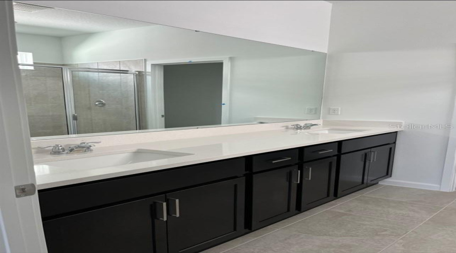 Owner's Bath
