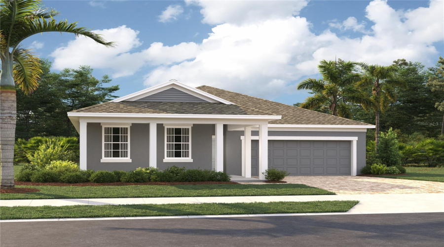 Front Rendering