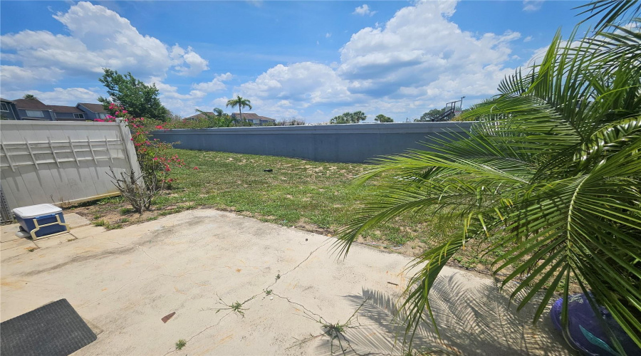 Backyard