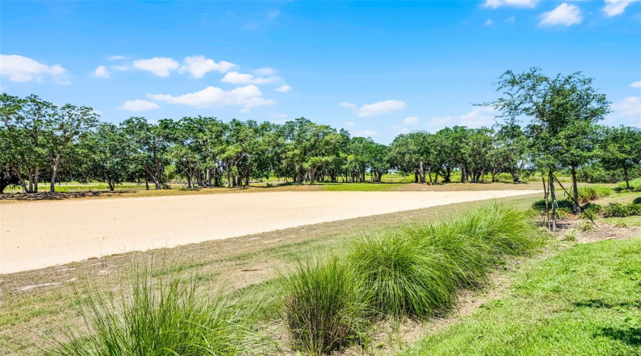 Tranquil views of the conservation and golf course