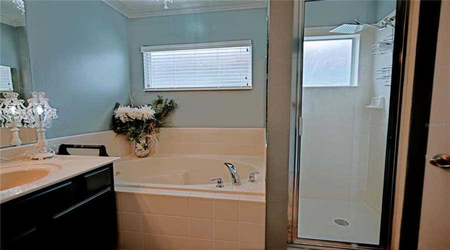 KISSIMMEE, Florida 34746, 6 Bedrooms Bedrooms, ,7 BathroomsBathrooms,Residential,For Sale,MARCELLO,0,MFRO6328908