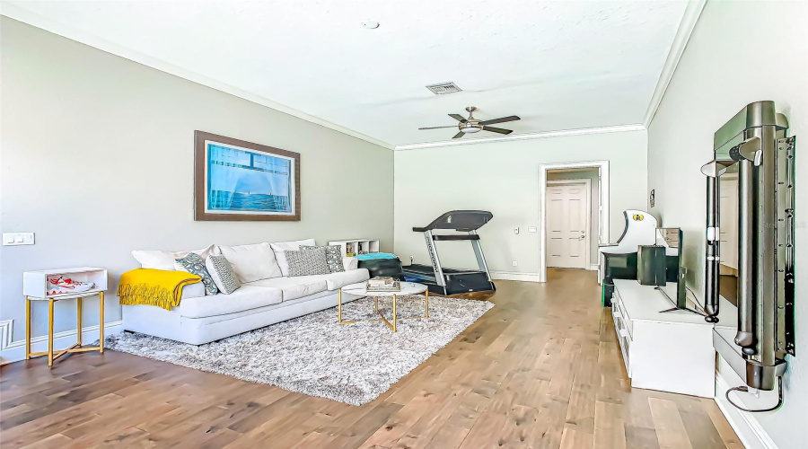 Bonus or Media Room