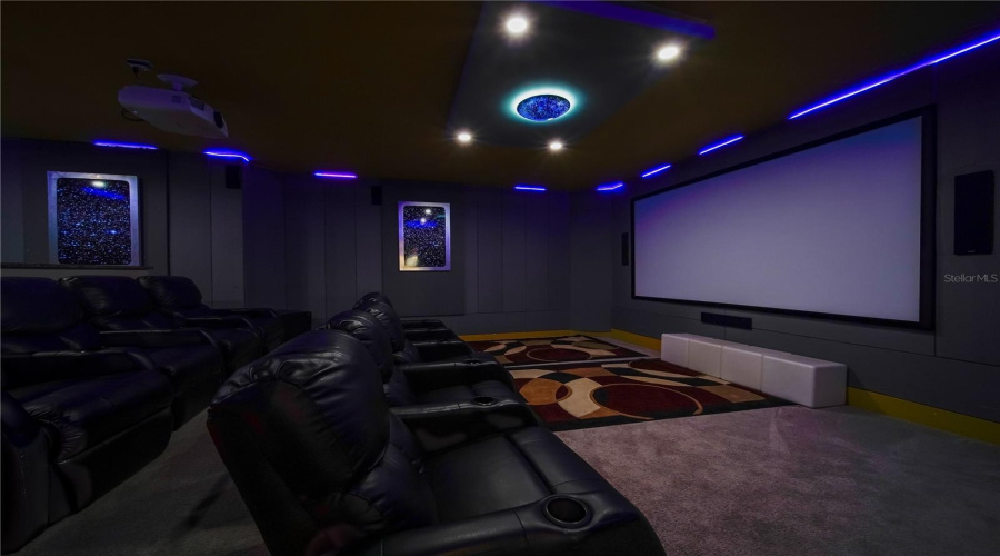 THEATER ROOM 1