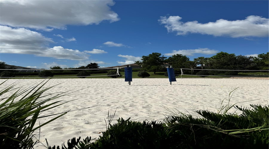 Oasis Sand Vollyball