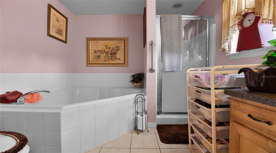2nd Bathroom with a Tub and seperate Shower